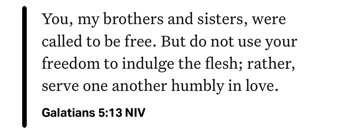 Galatians 5:13 NIV
