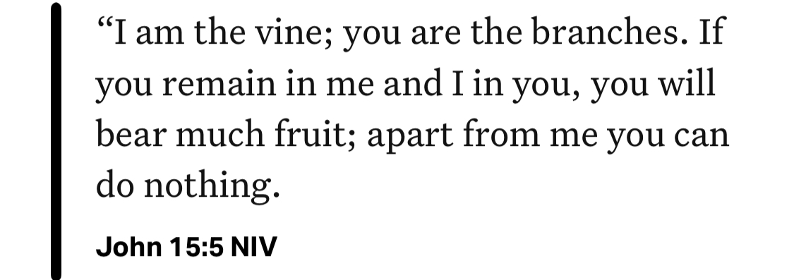 John 15:5 NIV