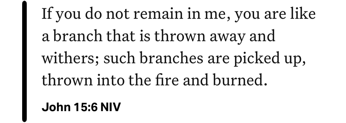 John 15:6 NIV