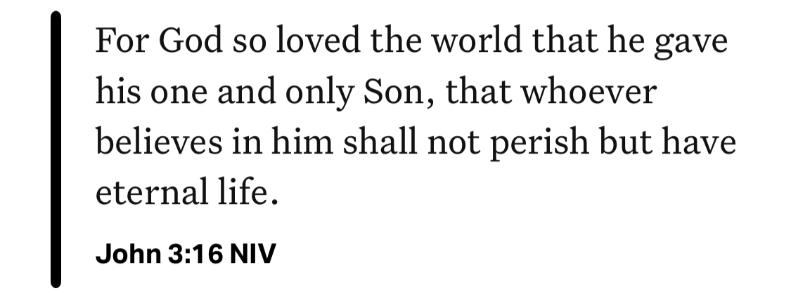John 3:16 NIV
