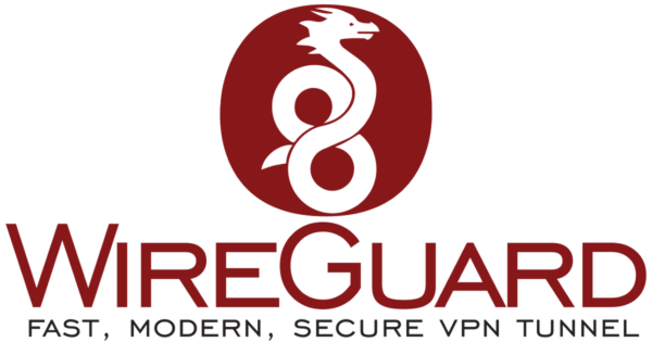 sing-box联合wireguard，解决Gemini屏蔽VPS IP